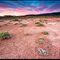 Parched Ground, Martis Valley