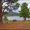 Boca Lake Campsite