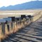 Mailboxes