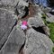 Great Rock in CT