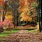 Autumn Hallmark
