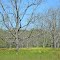 Rural Jackson County