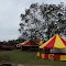 Circus Here Today