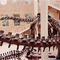 Argentinosaurus & Giganotosaurus Giants of Mesozoic