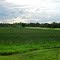 8th Tee