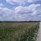 Nowhere Land