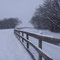 Ponca Hills Farm in January