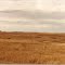 Dakota Prairie & Crown Butte