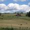 Rolled hay