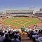  McAfee Coliseum