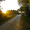Thatcher Rd.