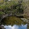Aldermans Ford Park 1