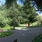 Carlos Bee Park