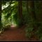 Redwood Regional Park