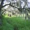Balm Boyette Scrub Preserve