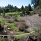 Botanical Garden