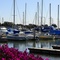 San Leandro Marina