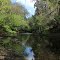 Upstream