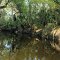 Shallow Upstream