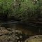 Small Rapids