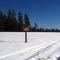 Looking for Elk