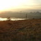 Late Afternoon at Baskett Slough