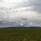 To the west
