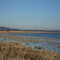 Jefferson from Baskett Slough