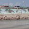 Sea Wall Boulevard and Sidewalk (built 1906-1912)