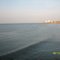 Gulf of Mexico