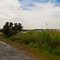 False Cape State Park