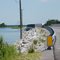 Corys Ditch (Causeway Bridge)