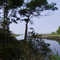 South Overlook