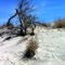 Entry Road to Back Bay Wildlife Refuge