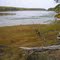 Morong Cove (tidal mudflats exposed)   [w/comment]