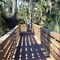 Boardwalk Over Swamp