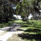 Road/Trail in Oak Hammock