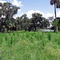 Cattle Trail at St. James River Floodplain