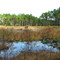 Another look at Lake Proctor