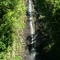 Manoa Falls