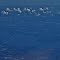Saint Johns River-Doctors Lake Confluence