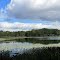 Lake Cohoctah