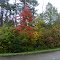 Oubache State Park