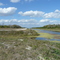 Looking north up the canal near Big Cypress