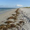 Key Biscayne, Florida