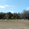 Big Cypress Siminole Indian Reservation - Cemetery