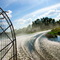 Swamp Florida - Airboat