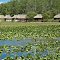 Billie Swamp Safari, Seminole Tribe of Florida, Clewiston, FL.