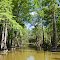 Billie Swamp Safari, Seminole Tribe of Florida, Clewiston, FL.