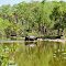 Billie Swamp Safari, Seminole Tribe of Florida, Clewiston, FL.